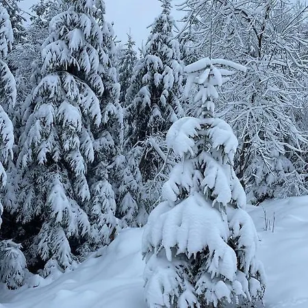 Wislane Zacisze Hotel