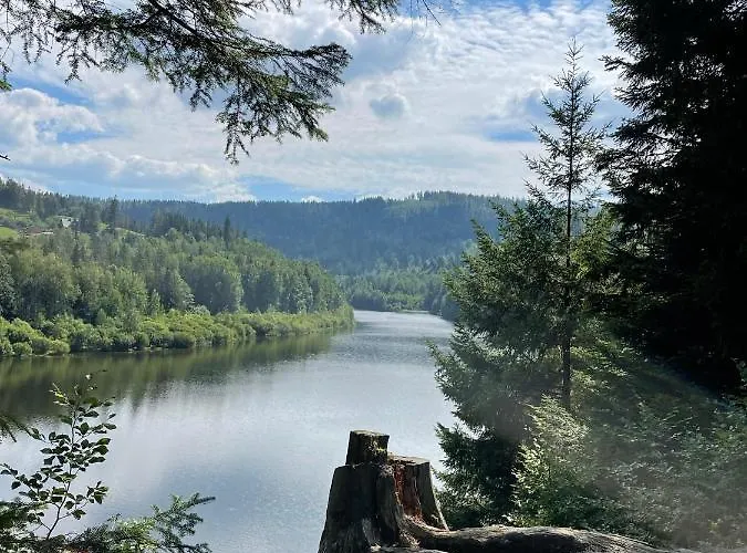 Wislane Zacisze * فيسلا