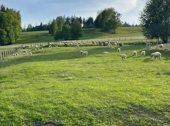 Wislane Zacisze Hotel *